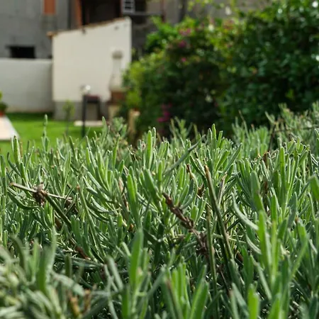 Castello's Tropea B&B *