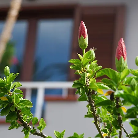 Castello's Tropea Caria