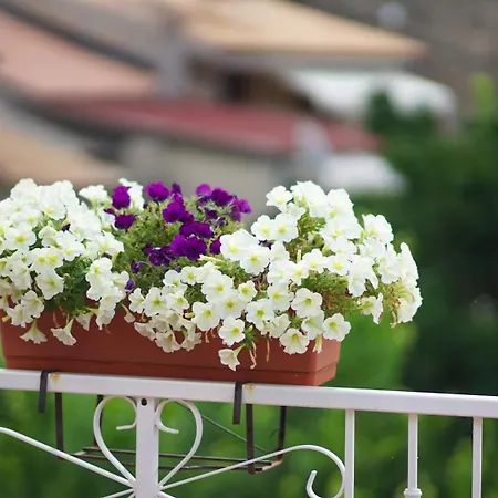 Castello's Tropea * Caria