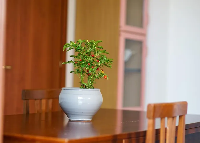 Castello's Tropea לינה וארוחת בוקר *