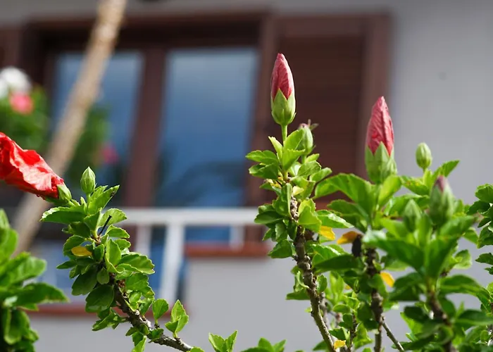 Castello's Tropea Caria