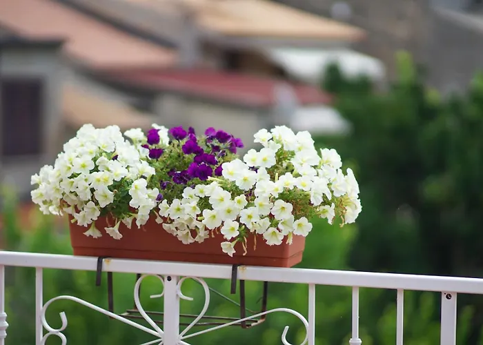 Castello's Tropea * Caria